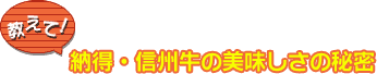 �[���E�M�B���̔��������̔閧