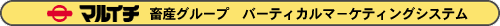 �}���C�`�@�{�Y�O���[�v�@�o�[�e�B�J���}�[�P�e�B���O�V�X�e�� 
